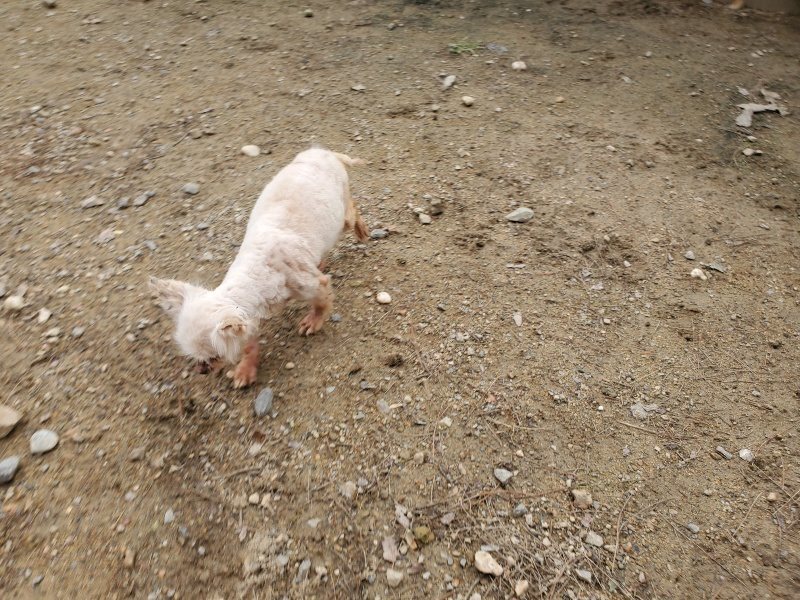 f:id:roukenhome-ann:20191020210622j:plain