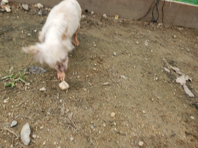 f:id:roukenhome-ann:20191020210712j:plain