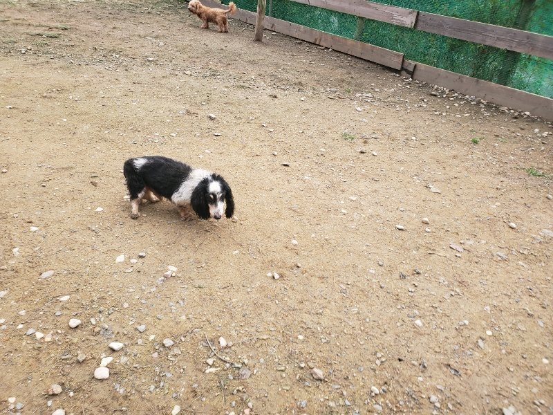 f:id:roukenhome-ann:20191020210830j:plain