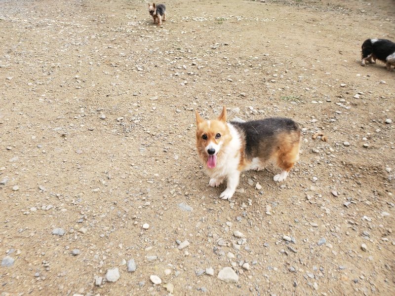 f:id:roukenhome-ann:20191020211055j:plain