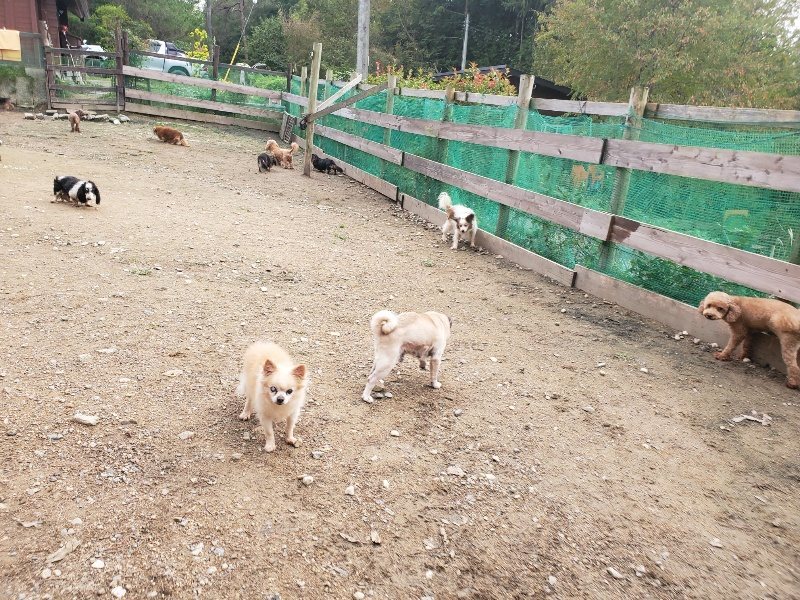 f:id:roukenhome-ann:20191020211156j:plain