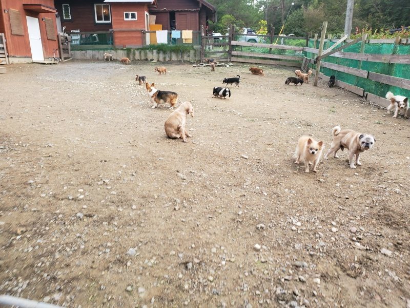 f:id:roukenhome-ann:20191020211230j:plain