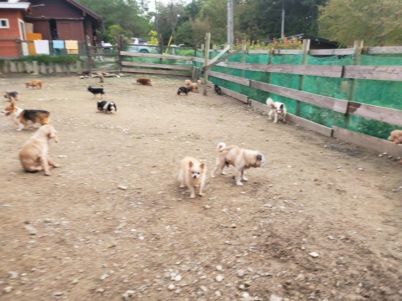 f:id:roukenhome-ann:20191020211243j:plain