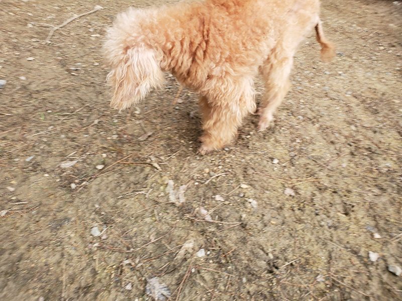 f:id:roukenhome-ann:20191020211420j:plain