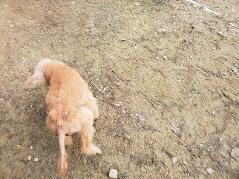 f:id:roukenhome-ann:20191020211525j:plain