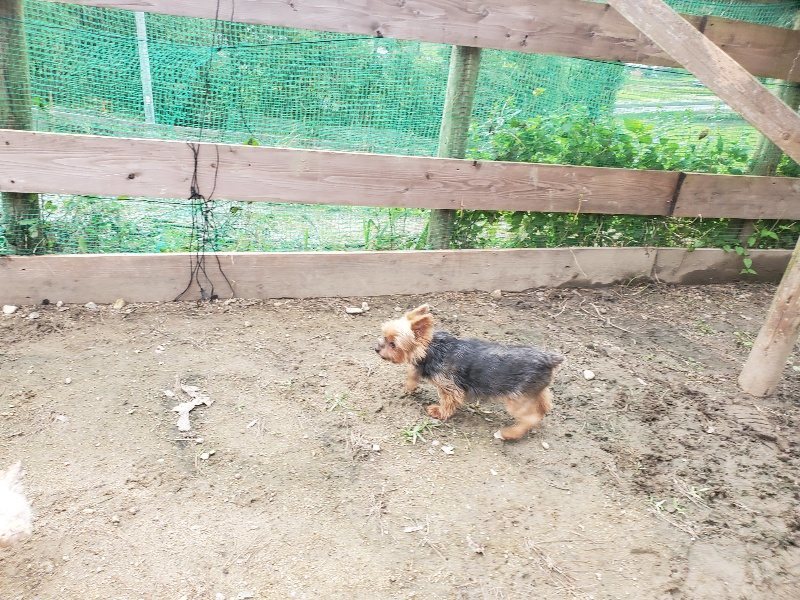 f:id:roukenhome-ann:20191020212749j:plain