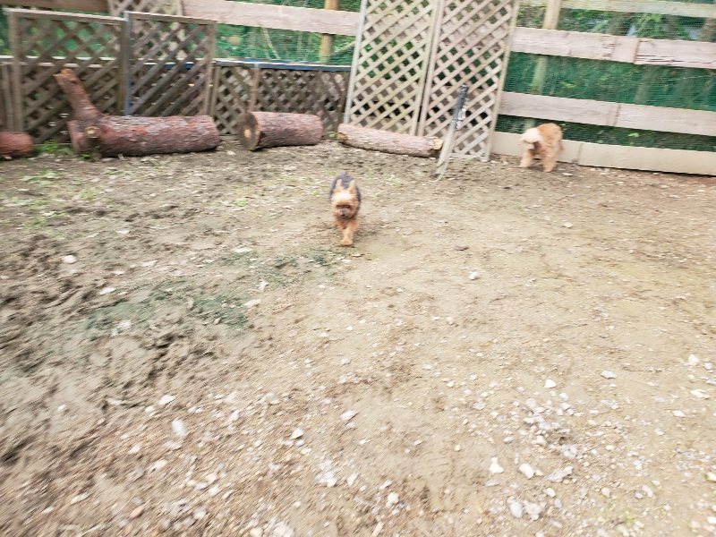 f:id:roukenhome-ann:20191020212759j:plain