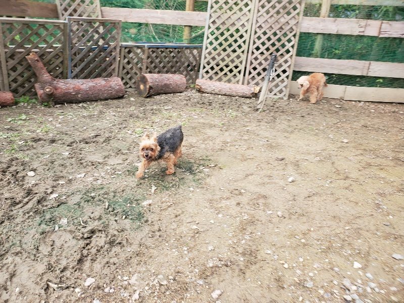 f:id:roukenhome-ann:20191020212829j:plain