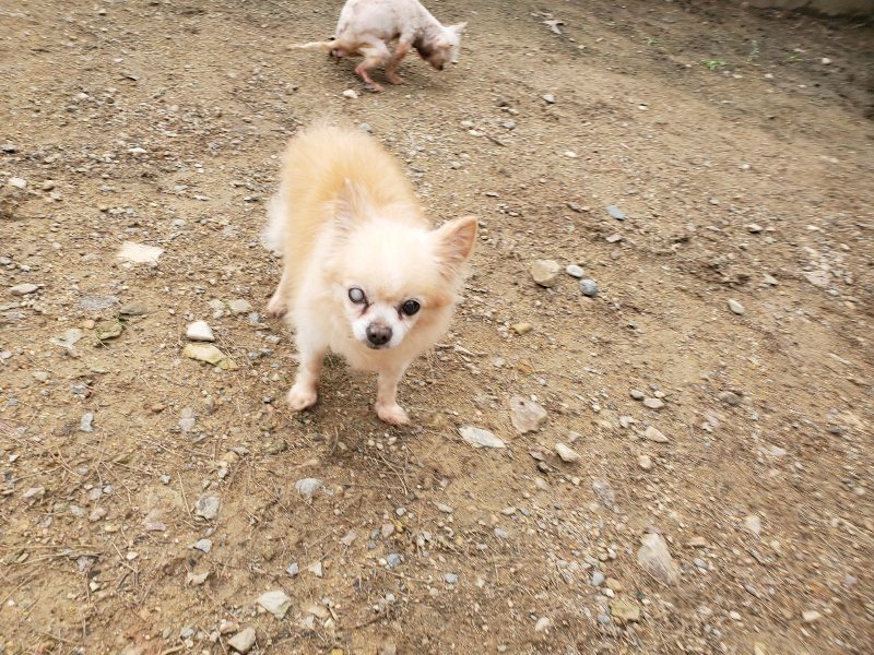 f:id:roukenhome-ann:20191020212858j:plain