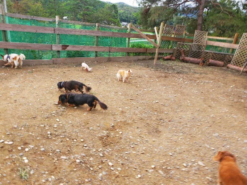f:id:roukenhome-ann:20191020213024j:plain