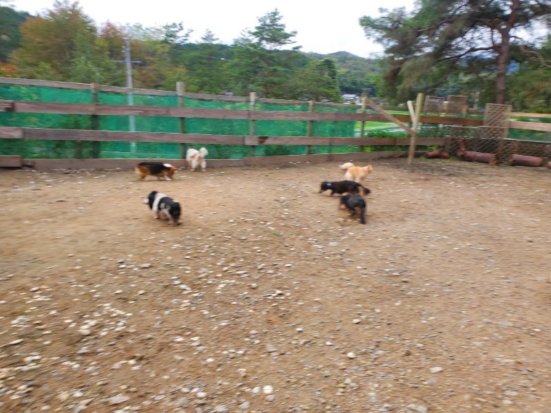 f:id:roukenhome-ann:20191020213104j:plain