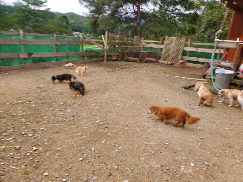 f:id:roukenhome-ann:20191020213118j:plain