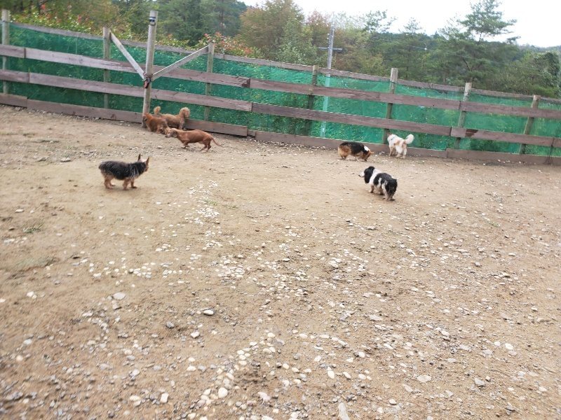 f:id:roukenhome-ann:20191020213133j:plain