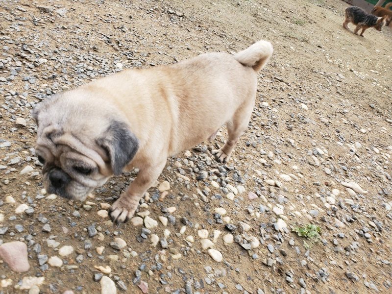 f:id:roukenhome-ann:20191020213214j:plain