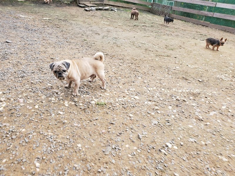 f:id:roukenhome-ann:20191020213236j:plain