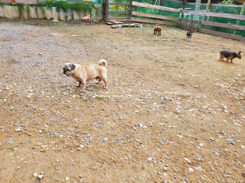 f:id:roukenhome-ann:20191020213247j:plain