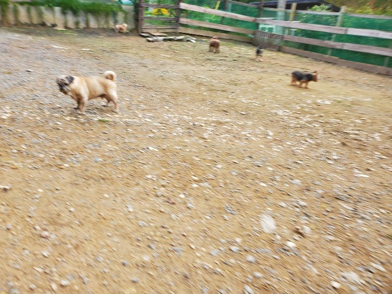 f:id:roukenhome-ann:20191020213306j:plain