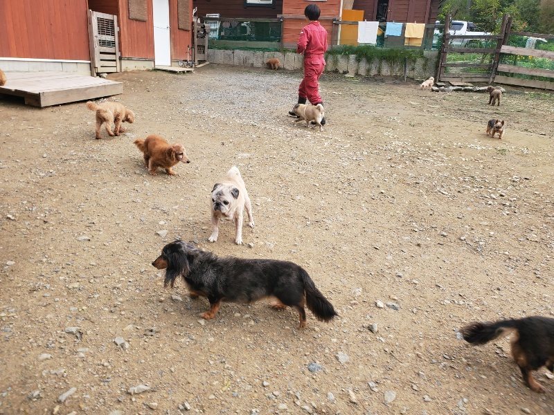 f:id:roukenhome-ann:20191020213431j:plain