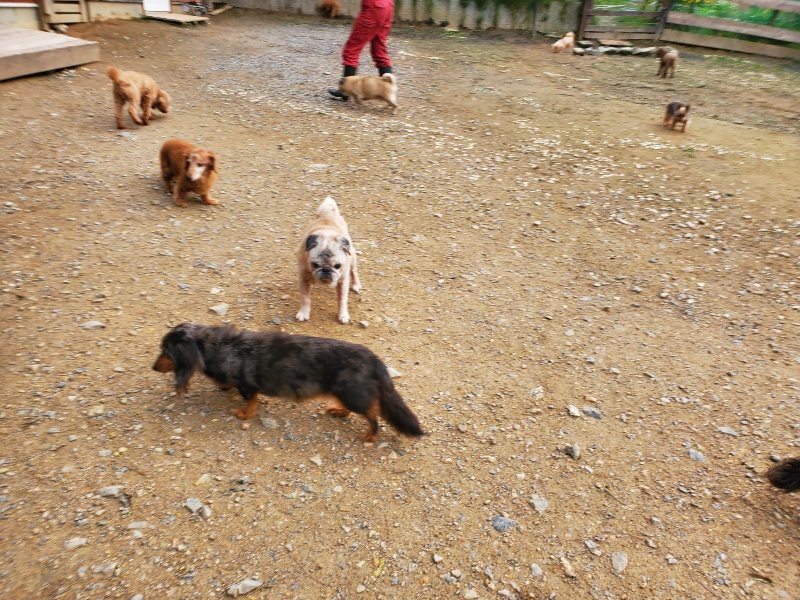 f:id:roukenhome-ann:20191020213505j:plain