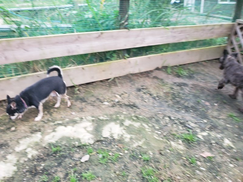 f:id:roukenhome-ann:20191021050924j:plain