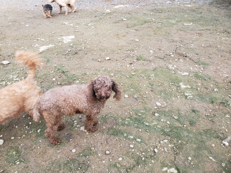 f:id:roukenhome-ann:20191021050943j:plain