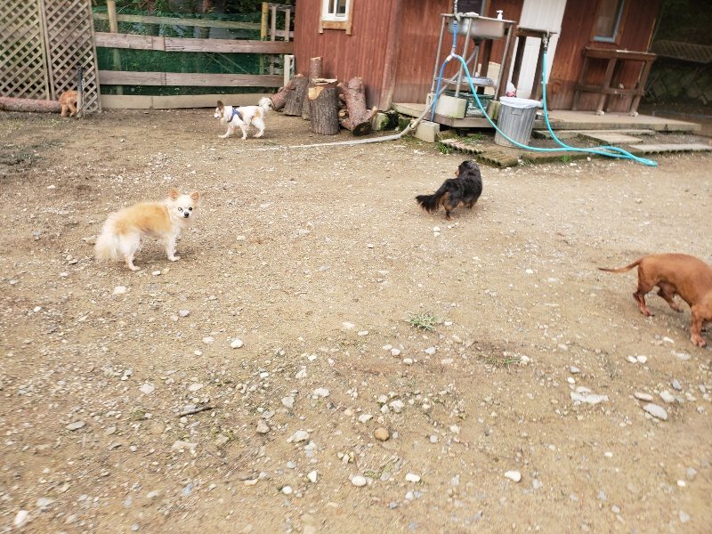 f:id:roukenhome-ann:20191021051015j:plain