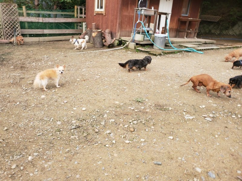 f:id:roukenhome-ann:20191021051029j:plain