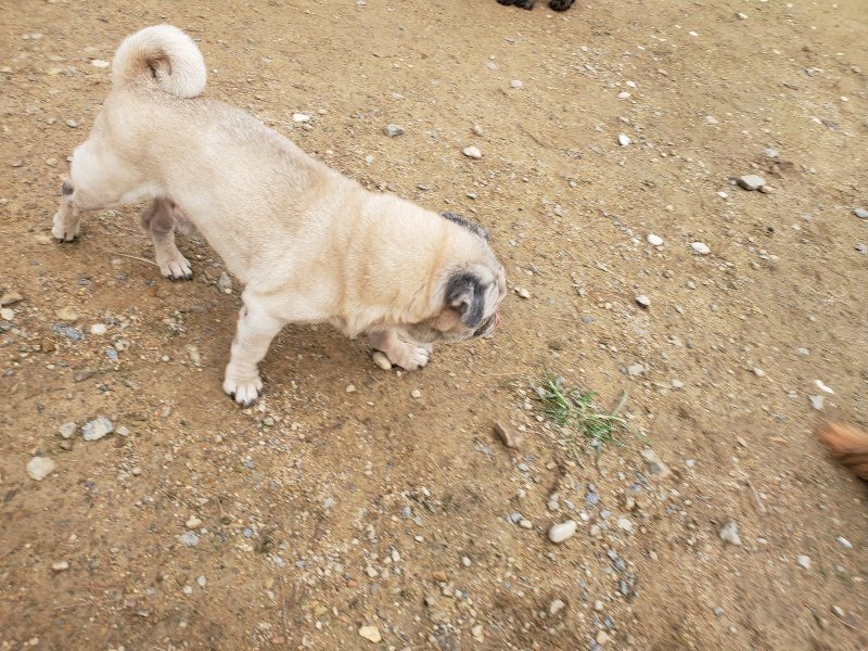f:id:roukenhome-ann:20191021051105j:plain