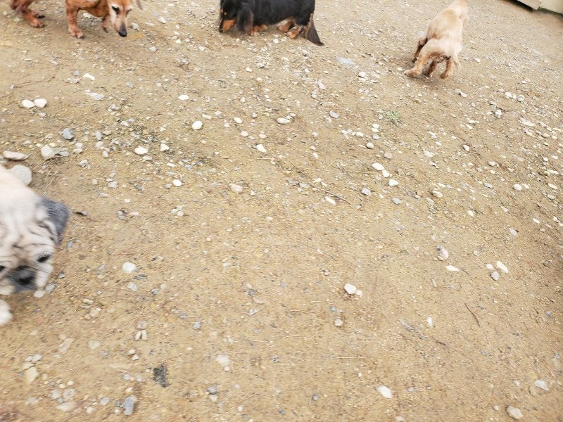 f:id:roukenhome-ann:20191021051111j:plain