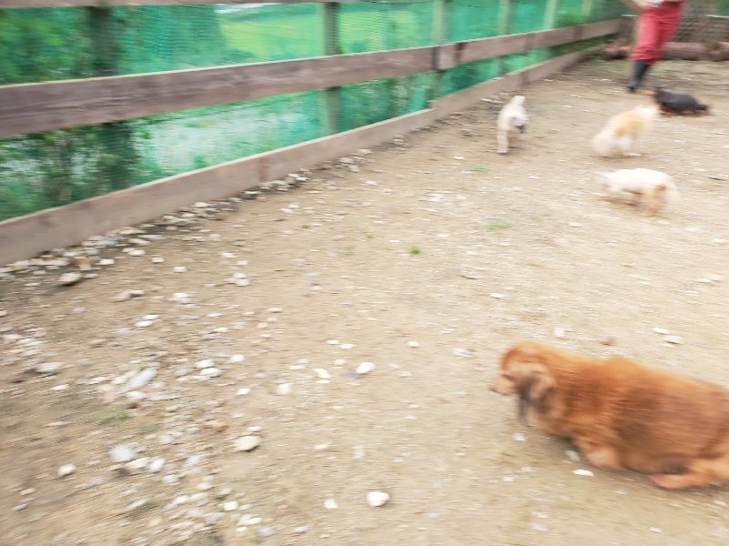f:id:roukenhome-ann:20191021051500j:plain