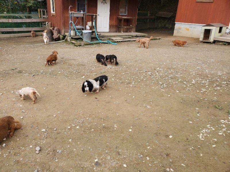 f:id:roukenhome-ann:20191021051714j:plain