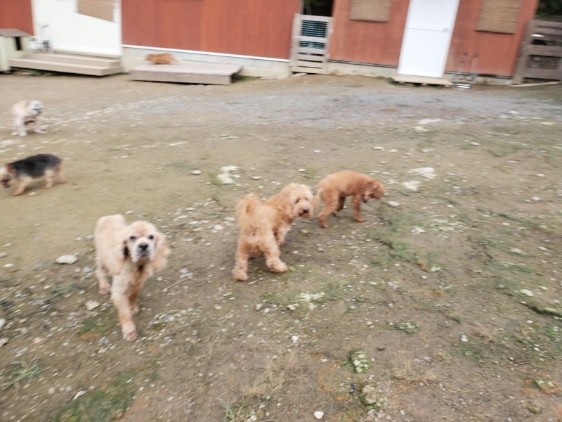 f:id:roukenhome-ann:20191021051730j:plain