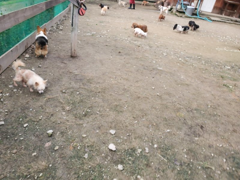 f:id:roukenhome-ann:20191021051838j:plain