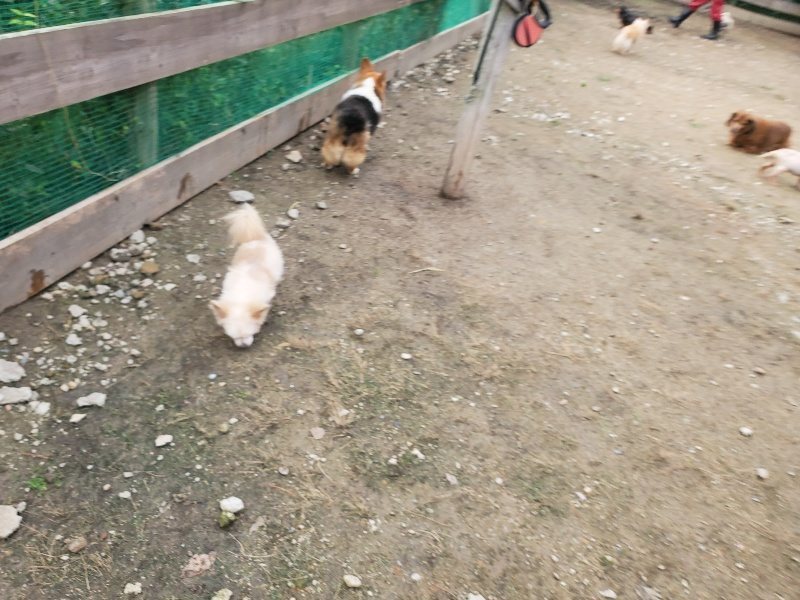 f:id:roukenhome-ann:20191021051904j:plain