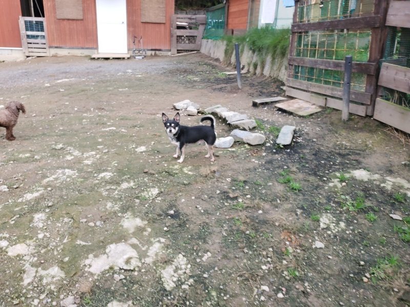 f:id:roukenhome-ann:20191021051925j:plain
