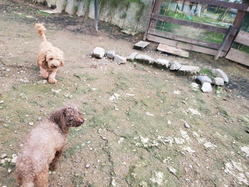 f:id:roukenhome-ann:20191021052357j:plain