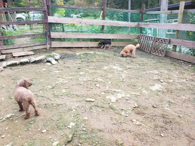 f:id:roukenhome-ann:20191021052412j:plain
