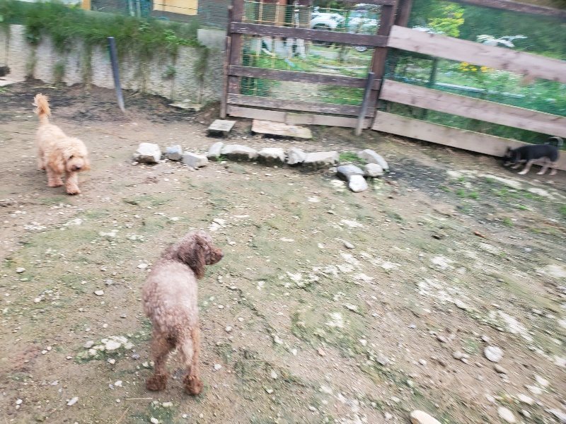 f:id:roukenhome-ann:20191021052419j:plain