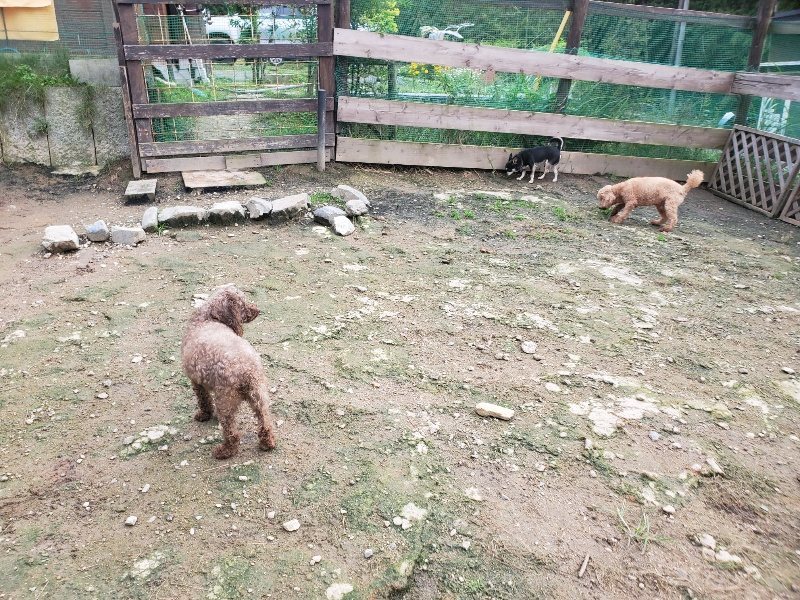 f:id:roukenhome-ann:20191021052427j:plain