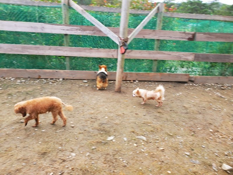 f:id:roukenhome-ann:20191021052433j:plain