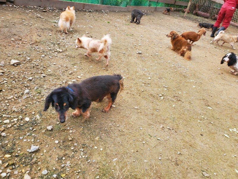 f:id:roukenhome-ann:20191021052516j:plain