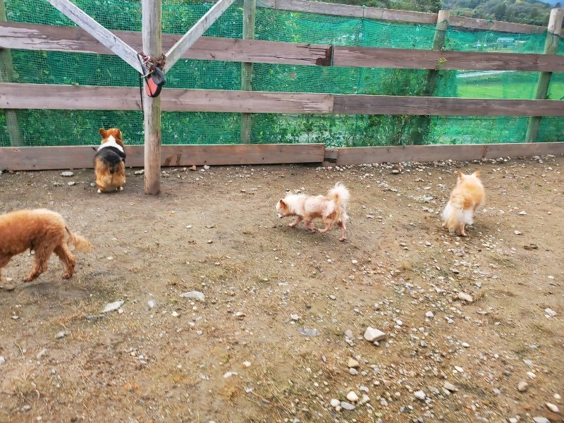 f:id:roukenhome-ann:20191021052527j:plain