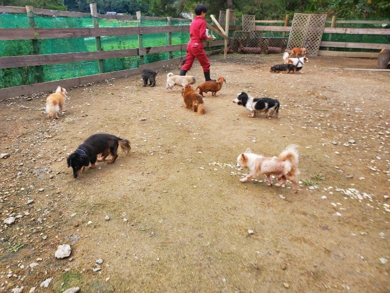 f:id:roukenhome-ann:20191021052616j:plain