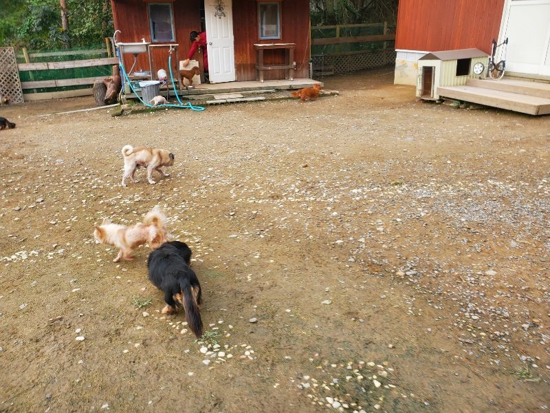 f:id:roukenhome-ann:20191021052635j:plain