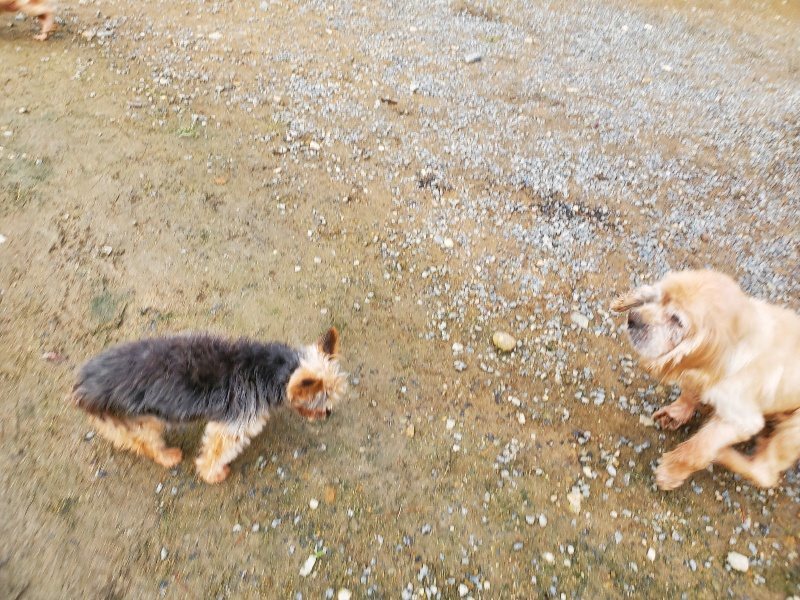 f:id:roukenhome-ann:20191021052706j:plain