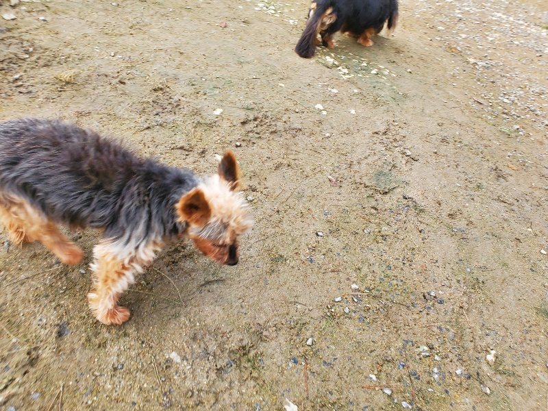 f:id:roukenhome-ann:20191021052731j:plain