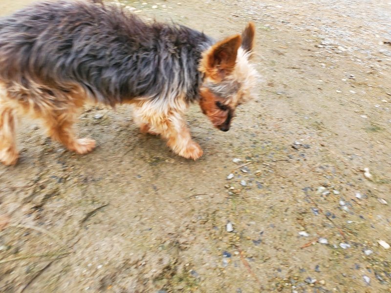 f:id:roukenhome-ann:20191021052745j:plain