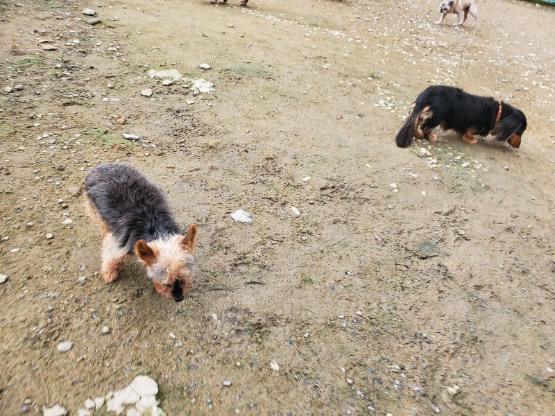 f:id:roukenhome-ann:20191021052755j:plain