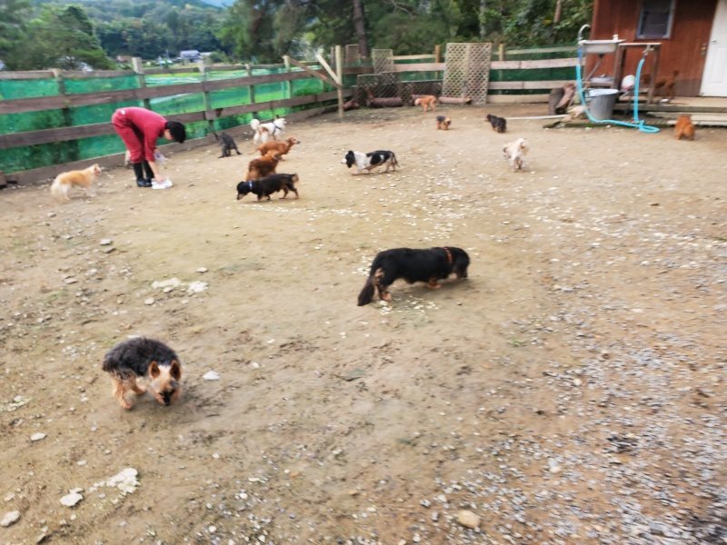 f:id:roukenhome-ann:20191021052807j:plain