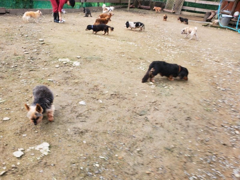 f:id:roukenhome-ann:20191021052830j:plain
